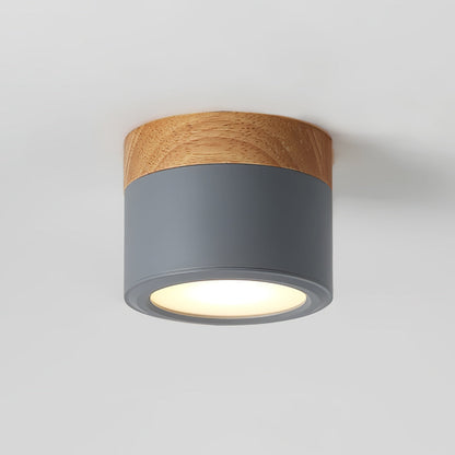 DirectLuxe - Ceiling Spotlight with Minimalist Style and Accurate Lighting