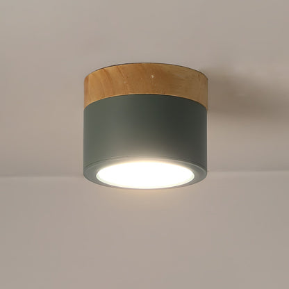 DirectLuxe - Ceiling Spotlight with Minimalist Style and Accurate Lighting