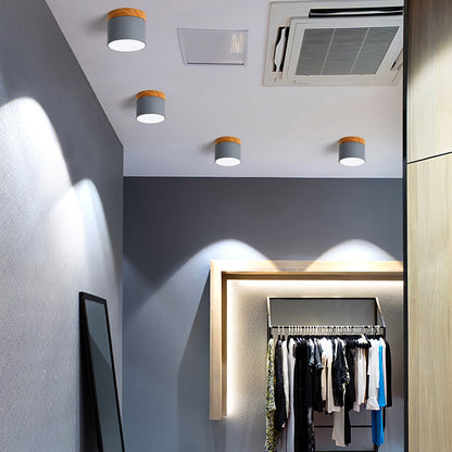 DirectLuxe - Ceiling Spotlight with Minimalist Style and Accurate Lighting