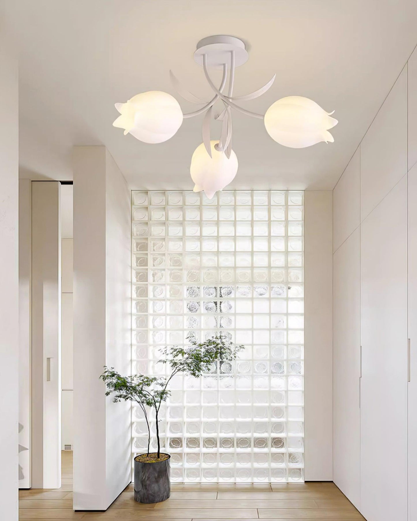 RickoRadiance - Ceiling Lamp with Sophisticated Style and Soft Glow