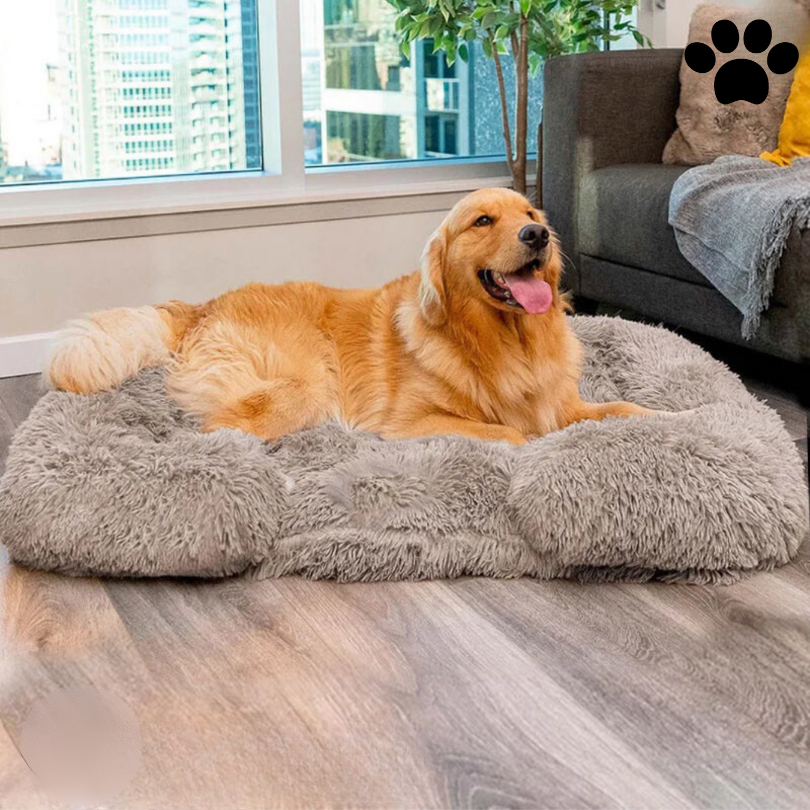 Orthopedic Memory Foam Dog Bed with Waterproof Lining – Large Comfortable Dog Bed for Better Sleep and Support-2