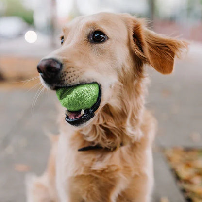 Automatic Rolling Dog Ball - Interactive Rechargeable Toy for Indoor/Outdoor Play, Safe Non-Toxic Material-1