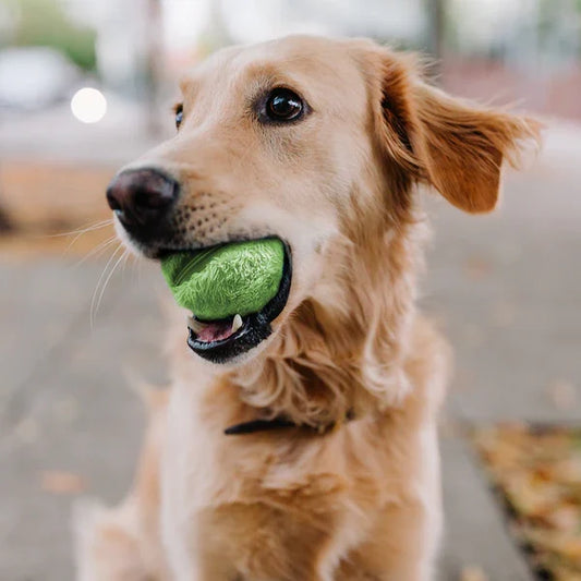 Automatic Rolling Dog Ball - Interactive Rechargeable Toy for Indoor/Outdoor Play, Safe Non-Toxic Material-1