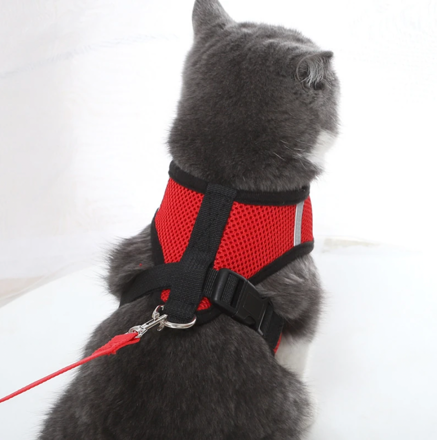 Comfortable Cat Harness and Leash Set, Adjustable Breathable Design for Safe Outdoor Adventures – Best Cat Harness for Kittens and Cats-1