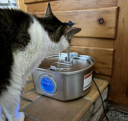 <strong>Should have bought this much sooner!</strong>