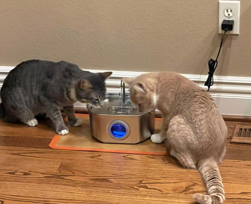 <strong>Stays clean longer, runs quiet, and great durability!</strong>