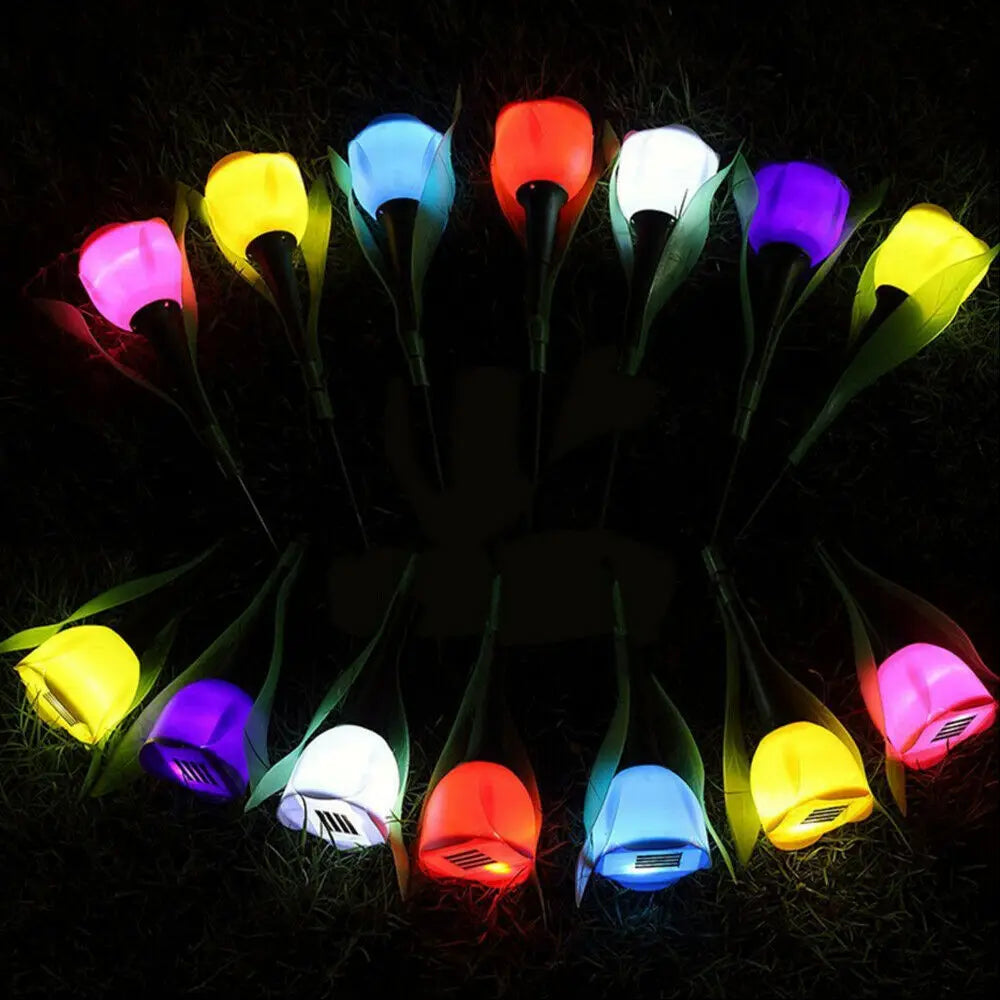 BloomBeam - Solar Tulip Flower Lights