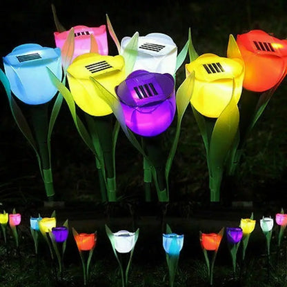 BloomBeam - Solar Tulip Flower Lights