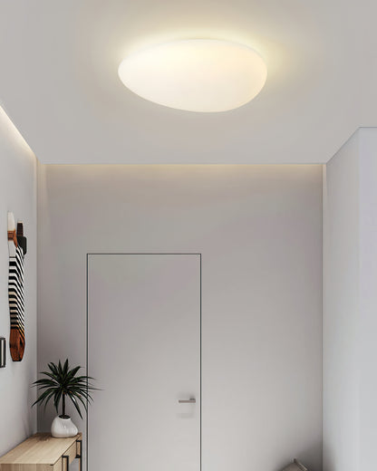 LumaToan - LED Ceiling Fixture