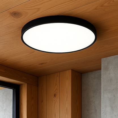 Ultra-thin ceiling lamp 2