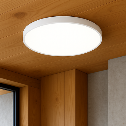 Ultra-thin ceiling lamp 3