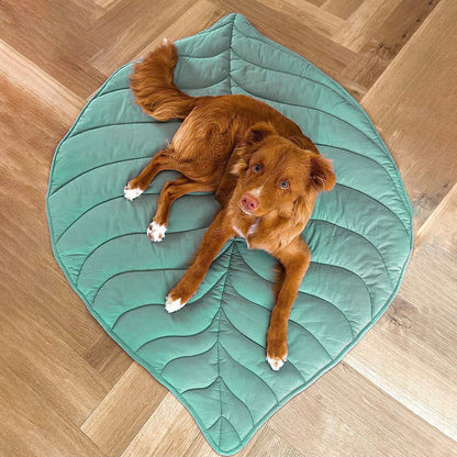 Vivolux | Dog blanket mat for large pets 9