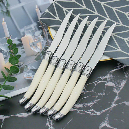 Vivolux | Stainless Steel Cutlery Set with Ivory Handle Design 0