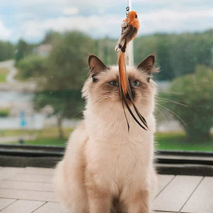 Interactive Cat Toy with Realistic Bird Movements – Engaging and Safe Simulation for Cats-2