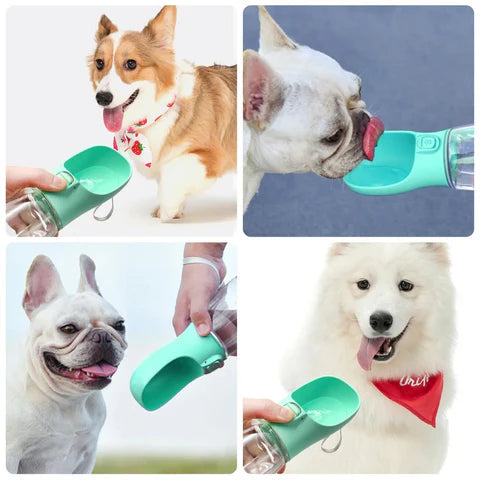 PawSip | Portable Dog Water Bottle – Leak-Proof & Easy for Outdoor Use