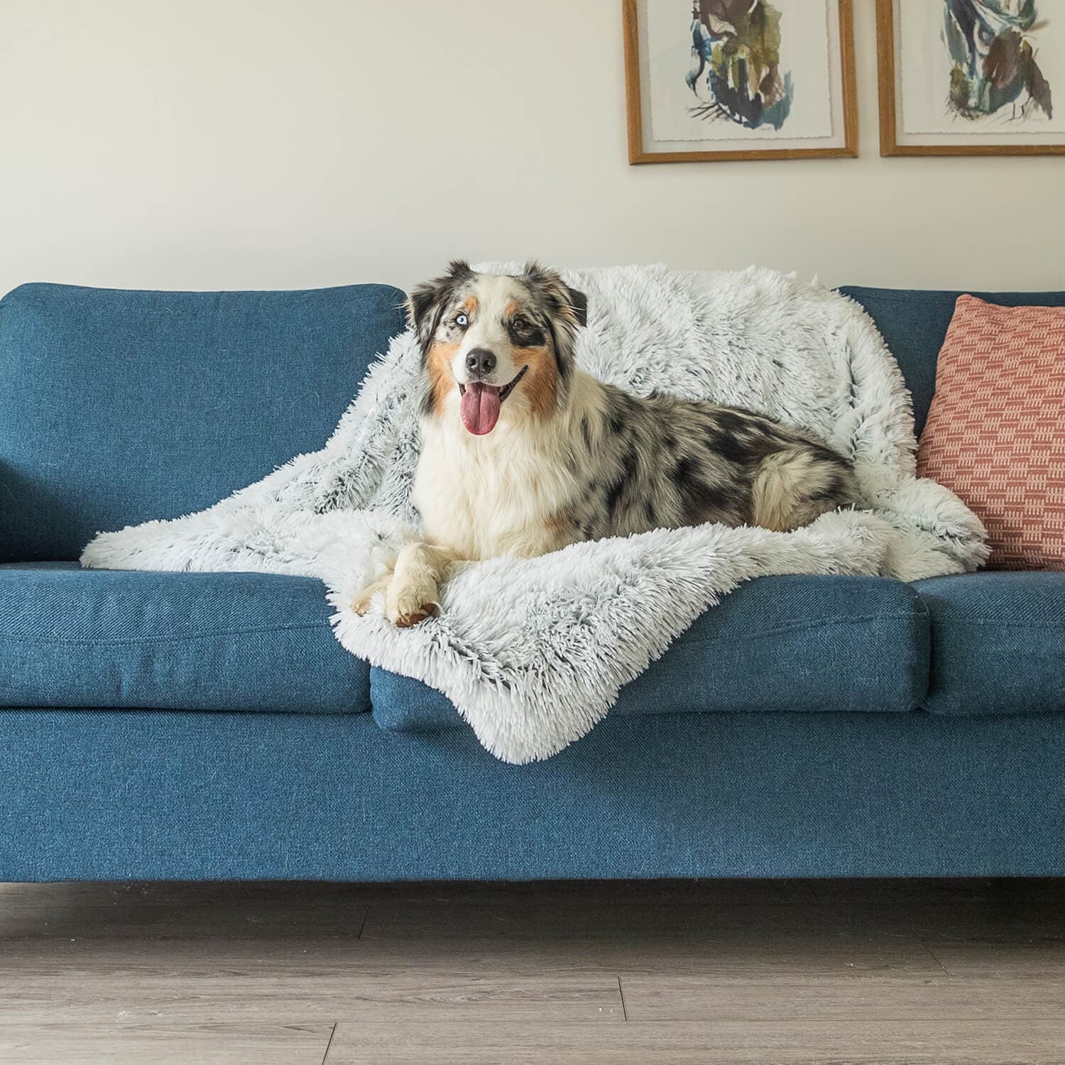 Variant image for Luxury Calming Dog Blanket – Soft, Animal-Friendly Fabric for Improved Sleep and Comfort, Machine Washable, Multiple Sizes Available-4