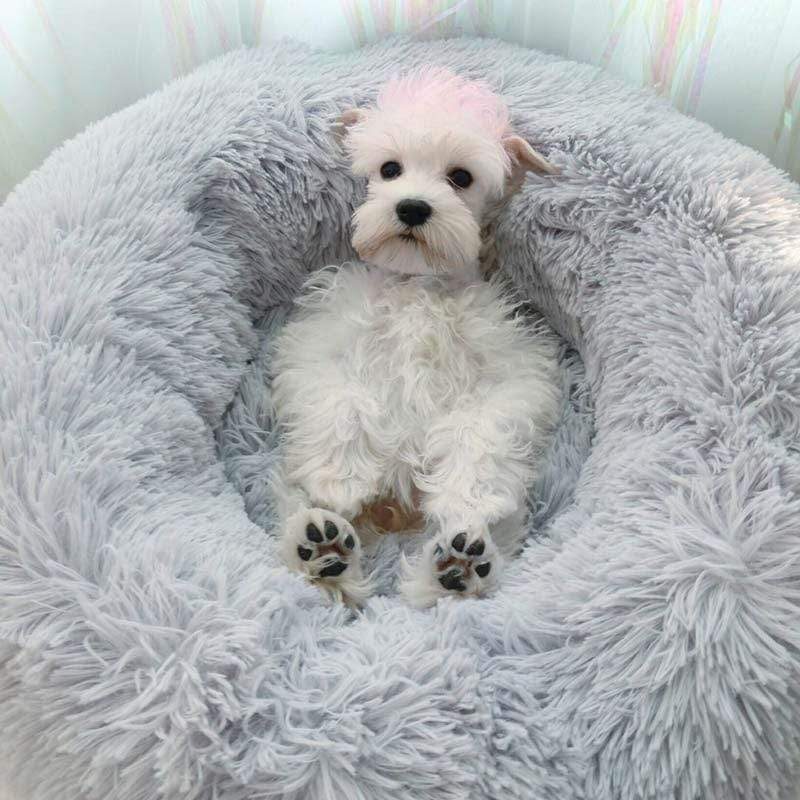Cozy Dog Bed for Large Breeds – Machine Washable, Calming Design for Ultimate Comfort and Relaxation-4